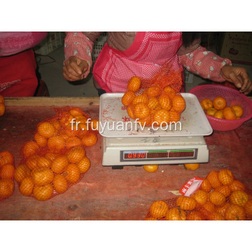 Nanfeng Bébé Mandarin frais